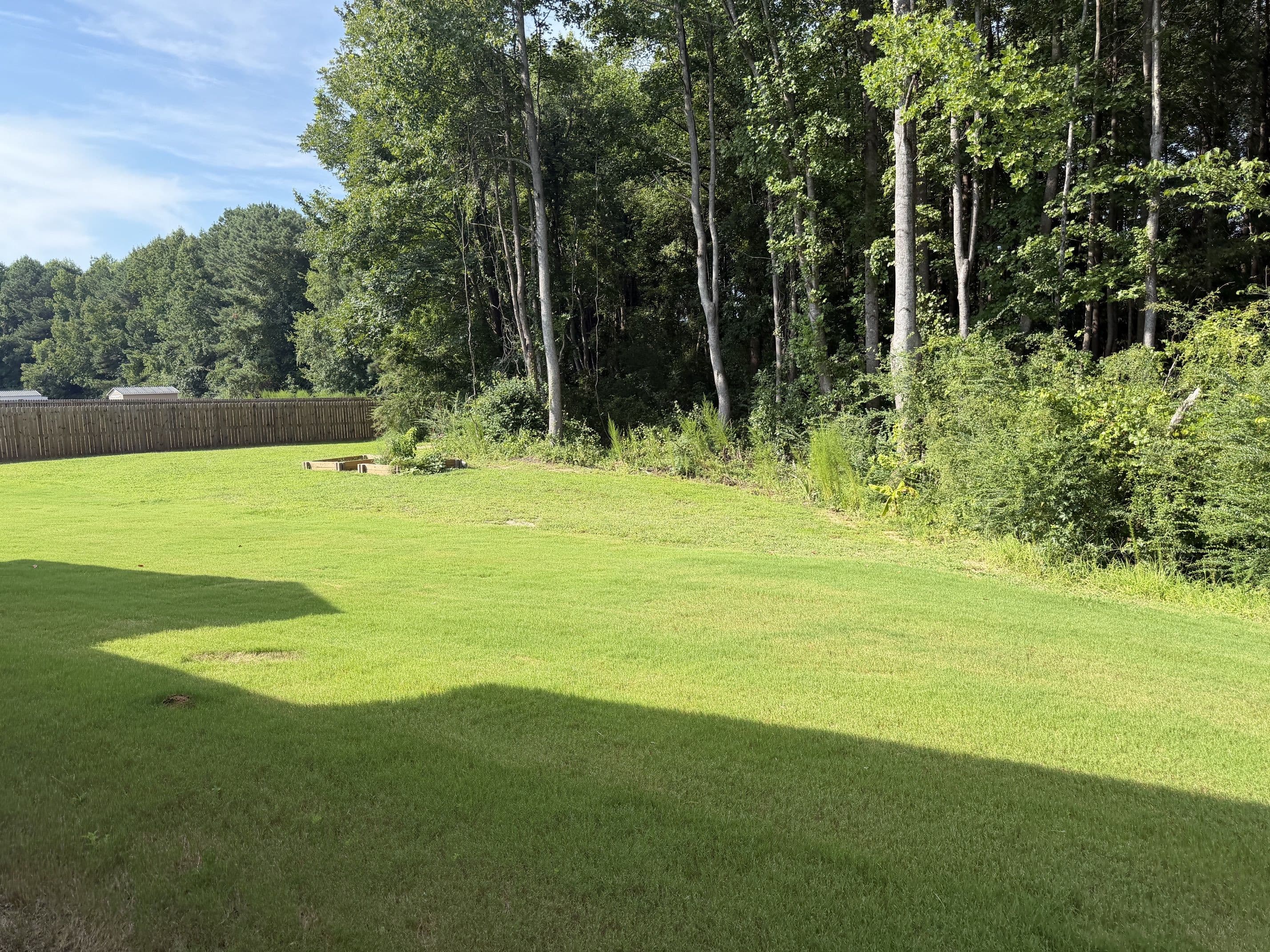 29.jpeg - 373 Abingdon Farms Drive, Selma, NC 27576