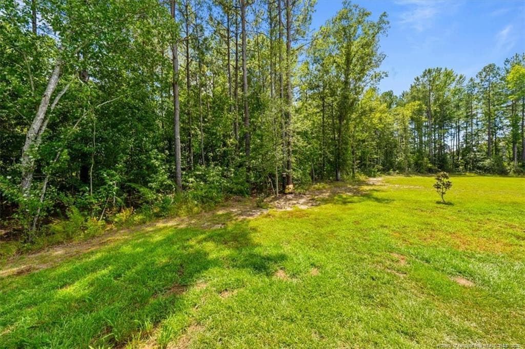 Photo 41 - 123 Sears Drive, Cameron, NC 28326