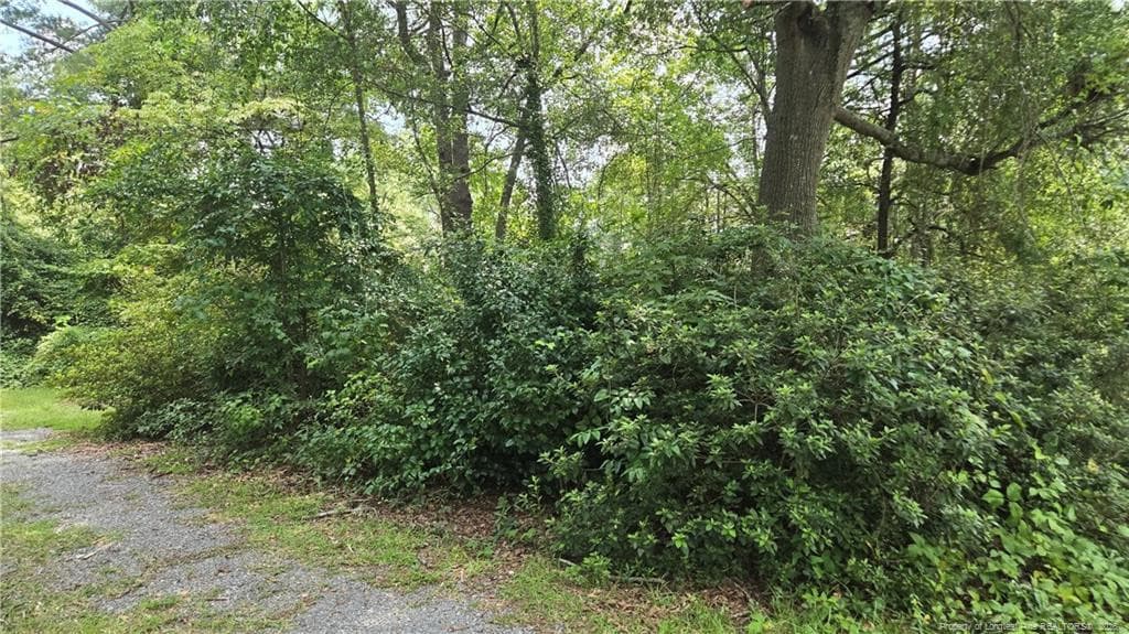 Photo 29 - 1912 Blake Street, Fayetteville, NC 28301, Fayetteville