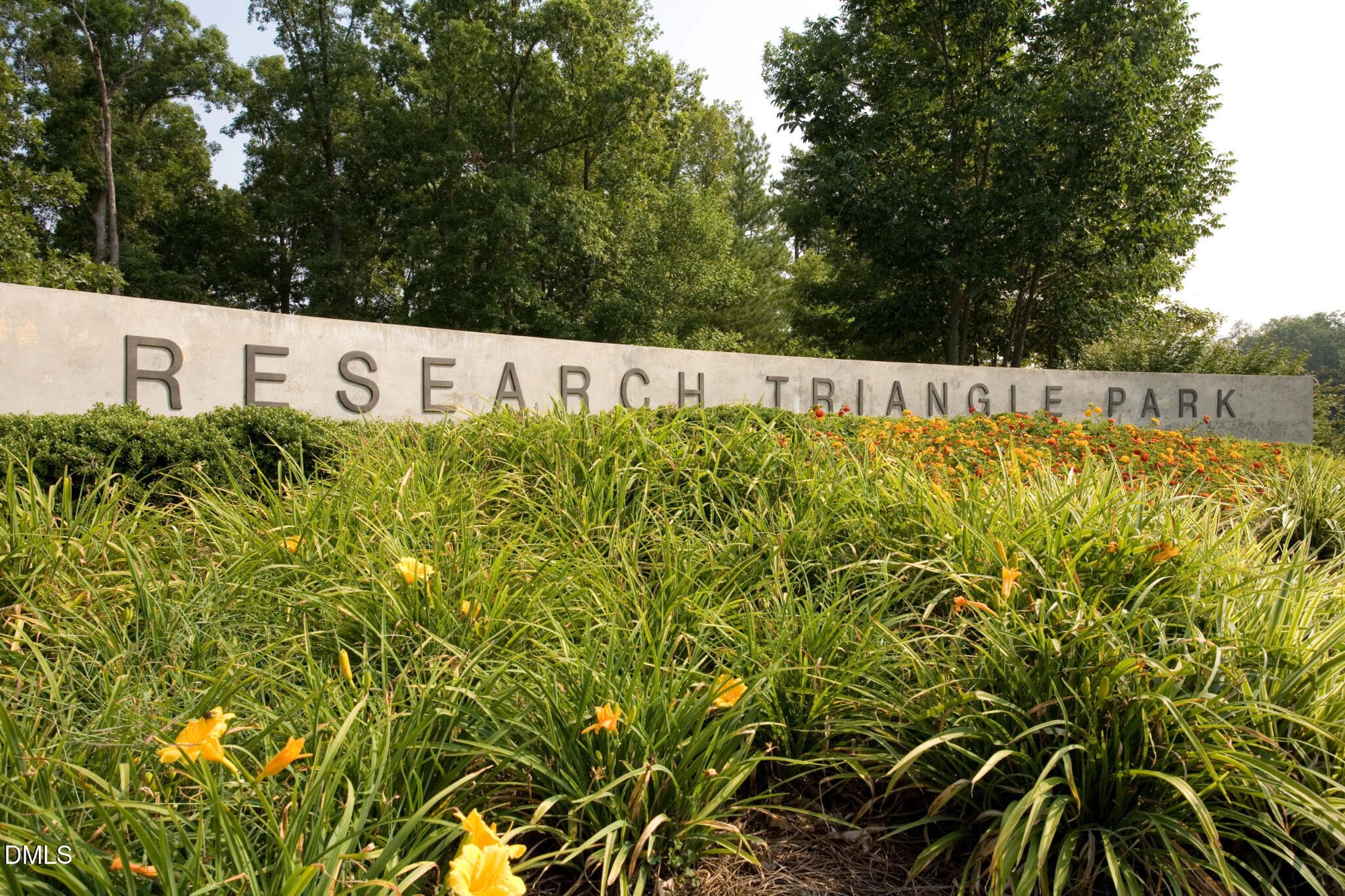 Research Triangle park - 5407 Running Fox Lane, Durham, NC 27703, Durham