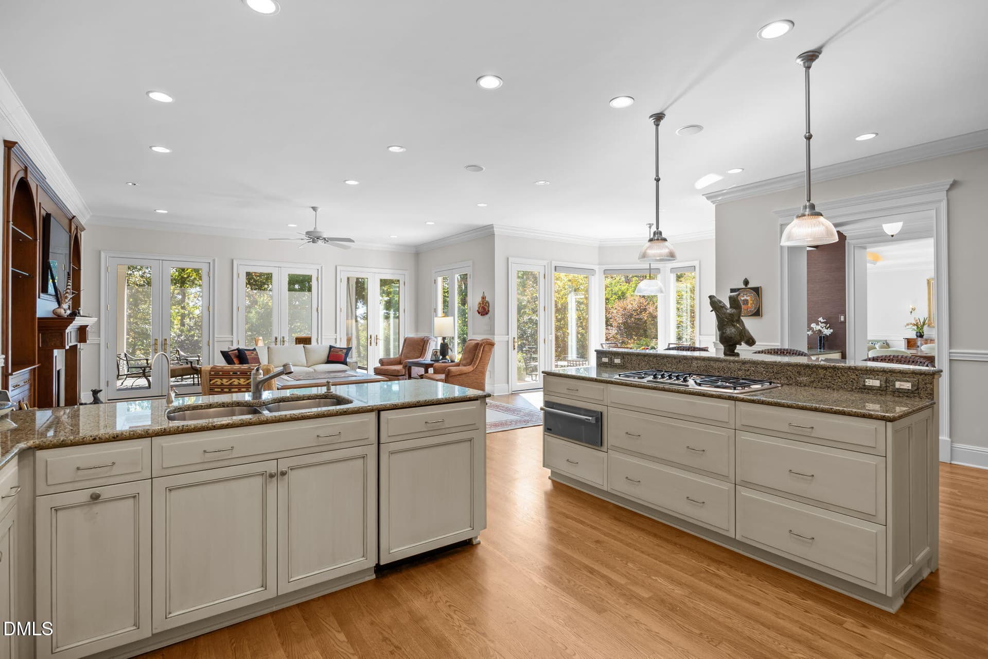 75-web-or-mls-72-print-IMG_1051 - 32409 Archdale, Chapel Hill, NC 27517
