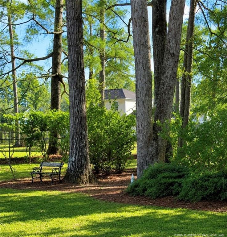 Photo 26 - 3025 Princeton Street, Lumberton, NC 28360