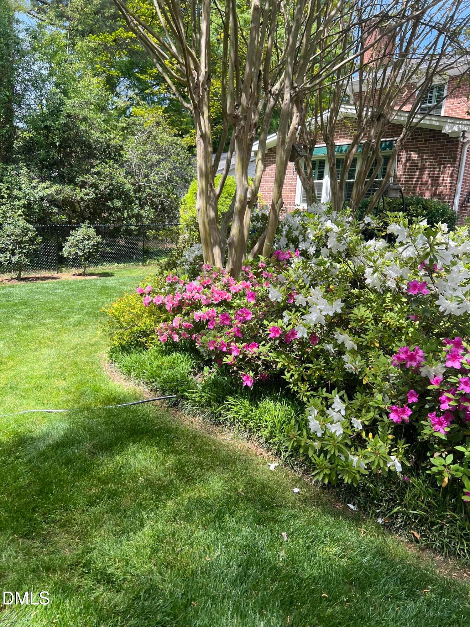 Spring Time Azaleas - 1014 Country Ridge Drive, Raleigh, NC 27609, Raleigh