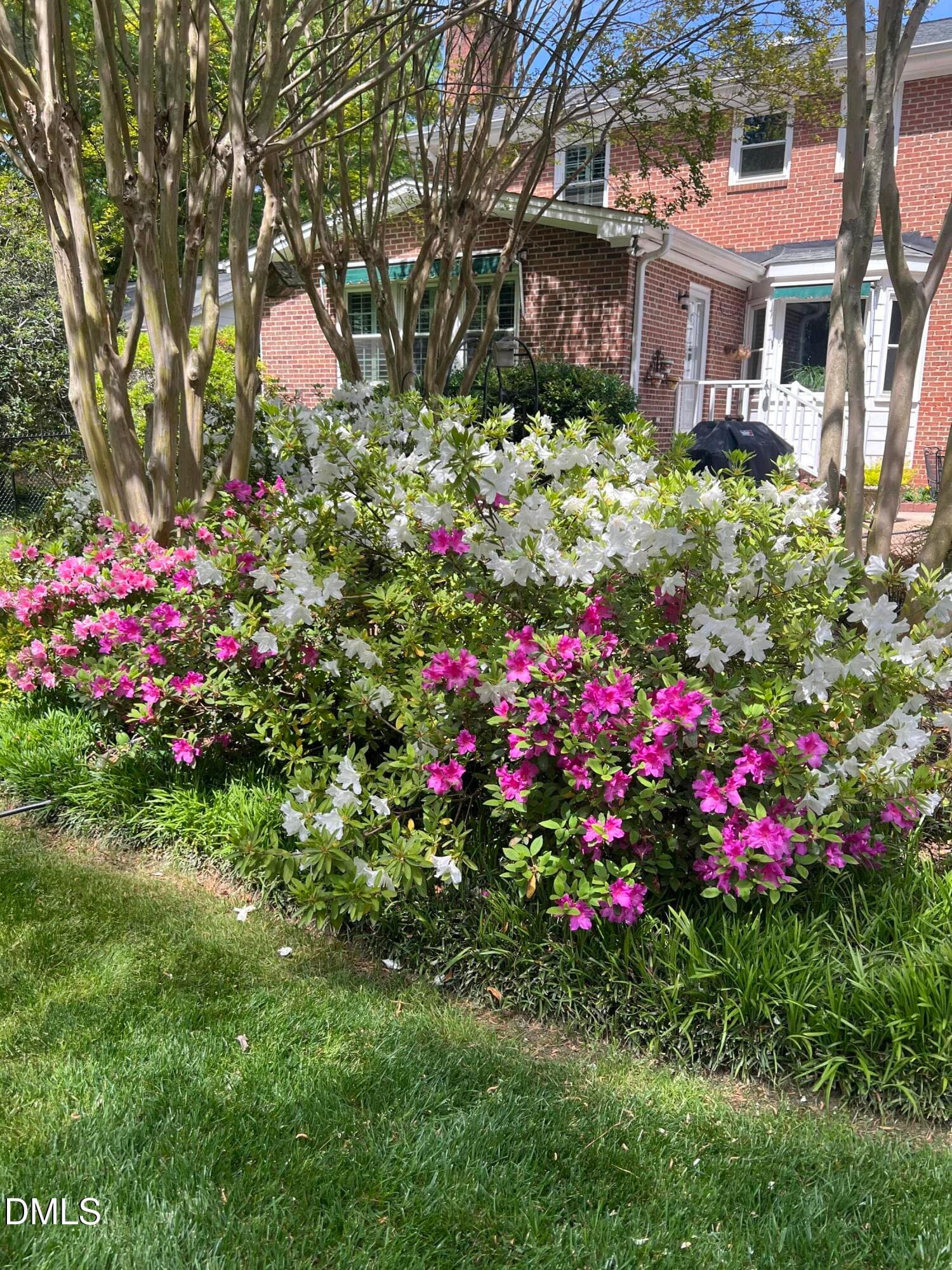 Spring Time Azaleas - 1014 Country Ridge Drive, Raleigh, NC 27609, Raleigh