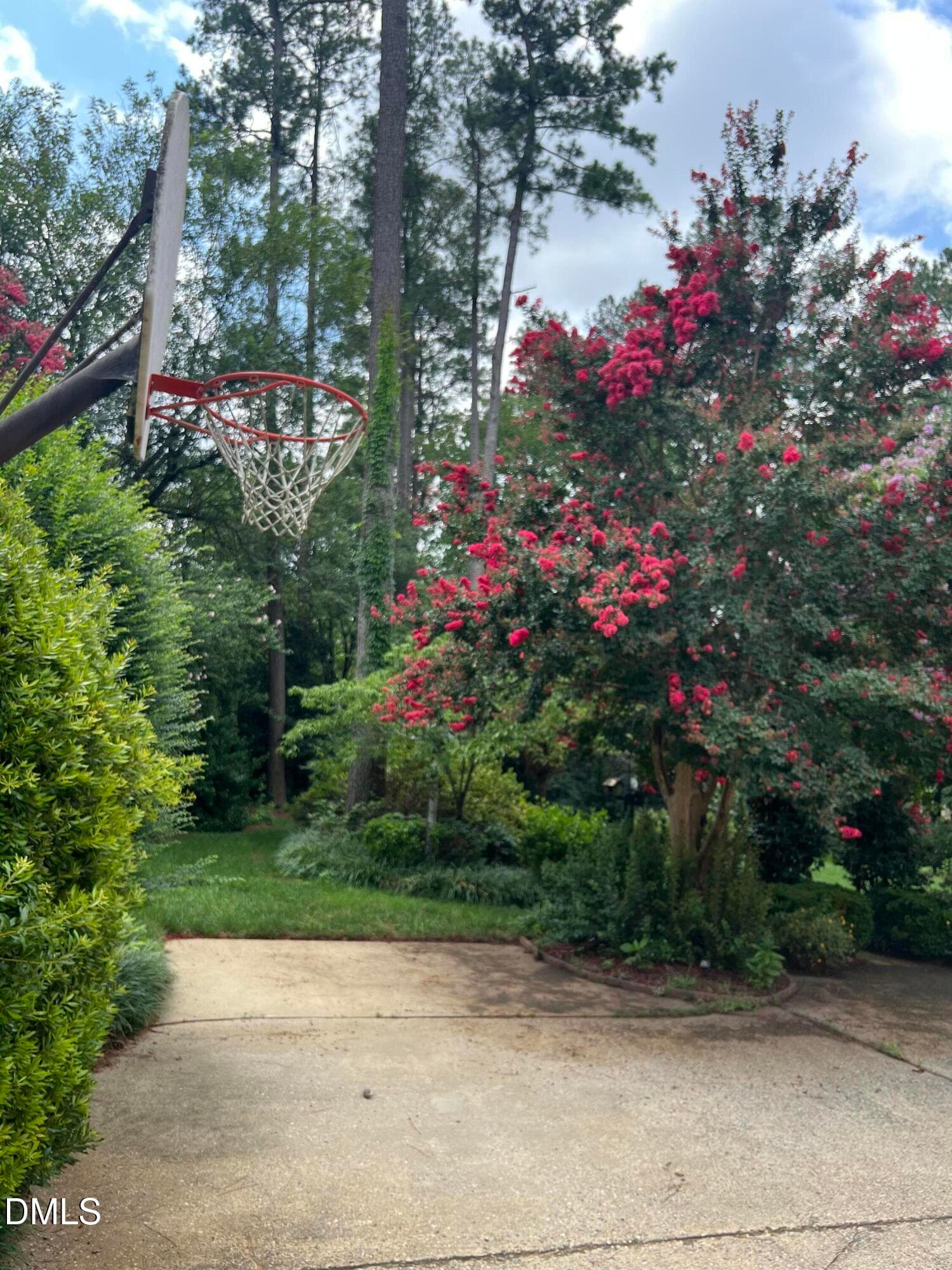 Crepe Myrtle by Driveway - 1014 Country Ridge Drive, Raleigh, NC 27609, Raleigh