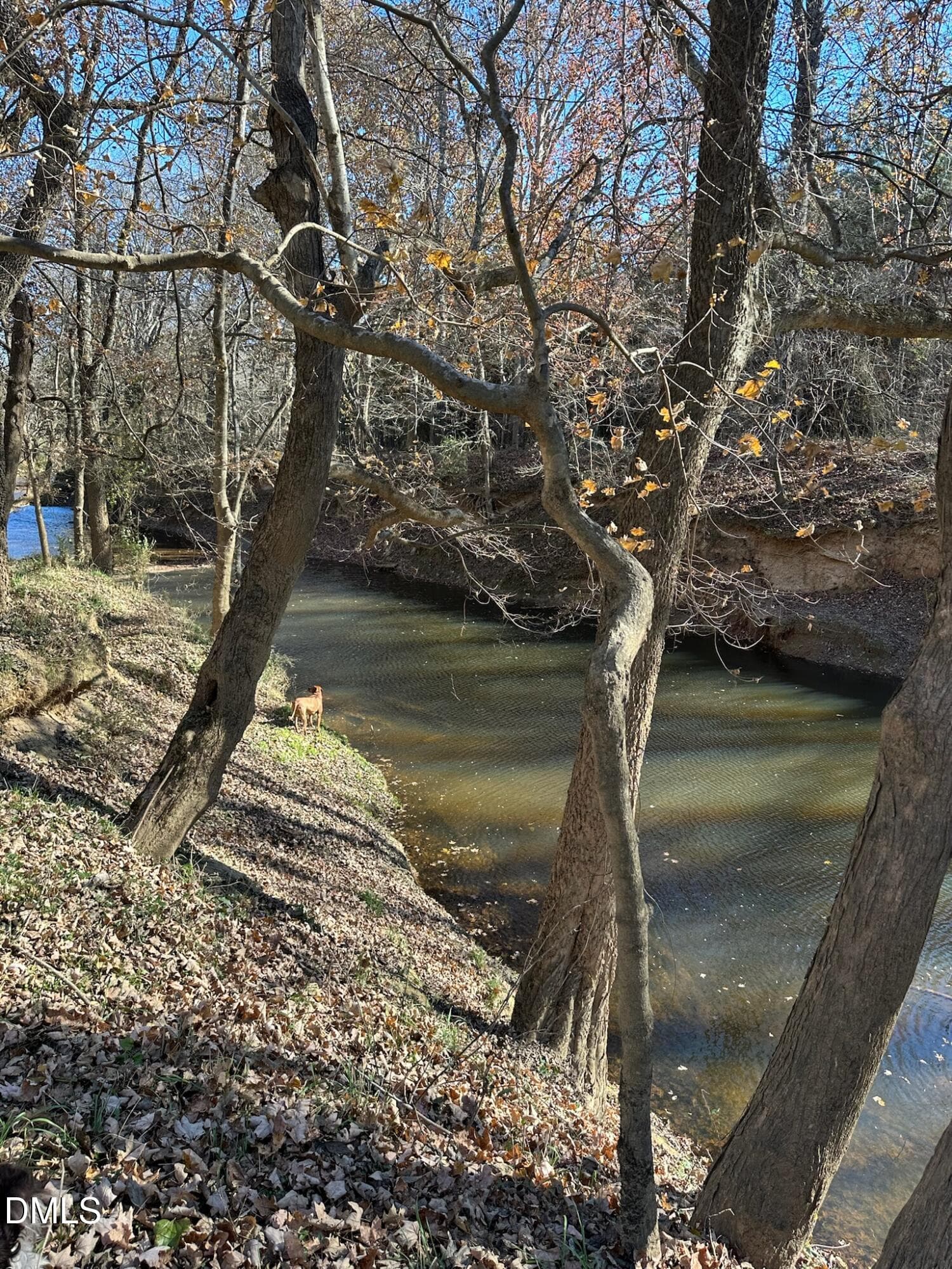 IMG_2675 - 6061 River Run Trail, Graham, NC 27253