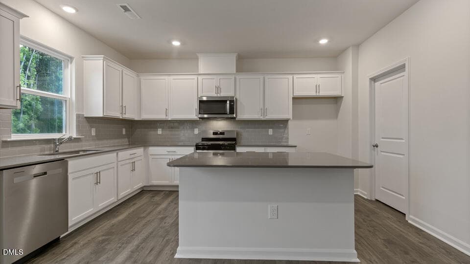 KITCHEN - 709 Sparkling Pear Drive, Willow Springs, NC 27592, Willow Springs
