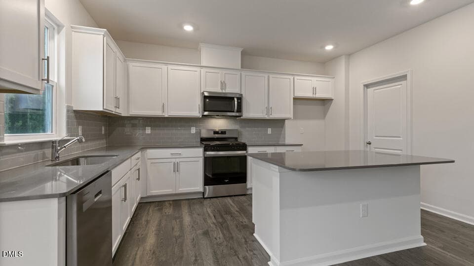 KITCHEN - 709 Sparkling Pear Drive, Willow Springs, NC 27592, Willow Springs