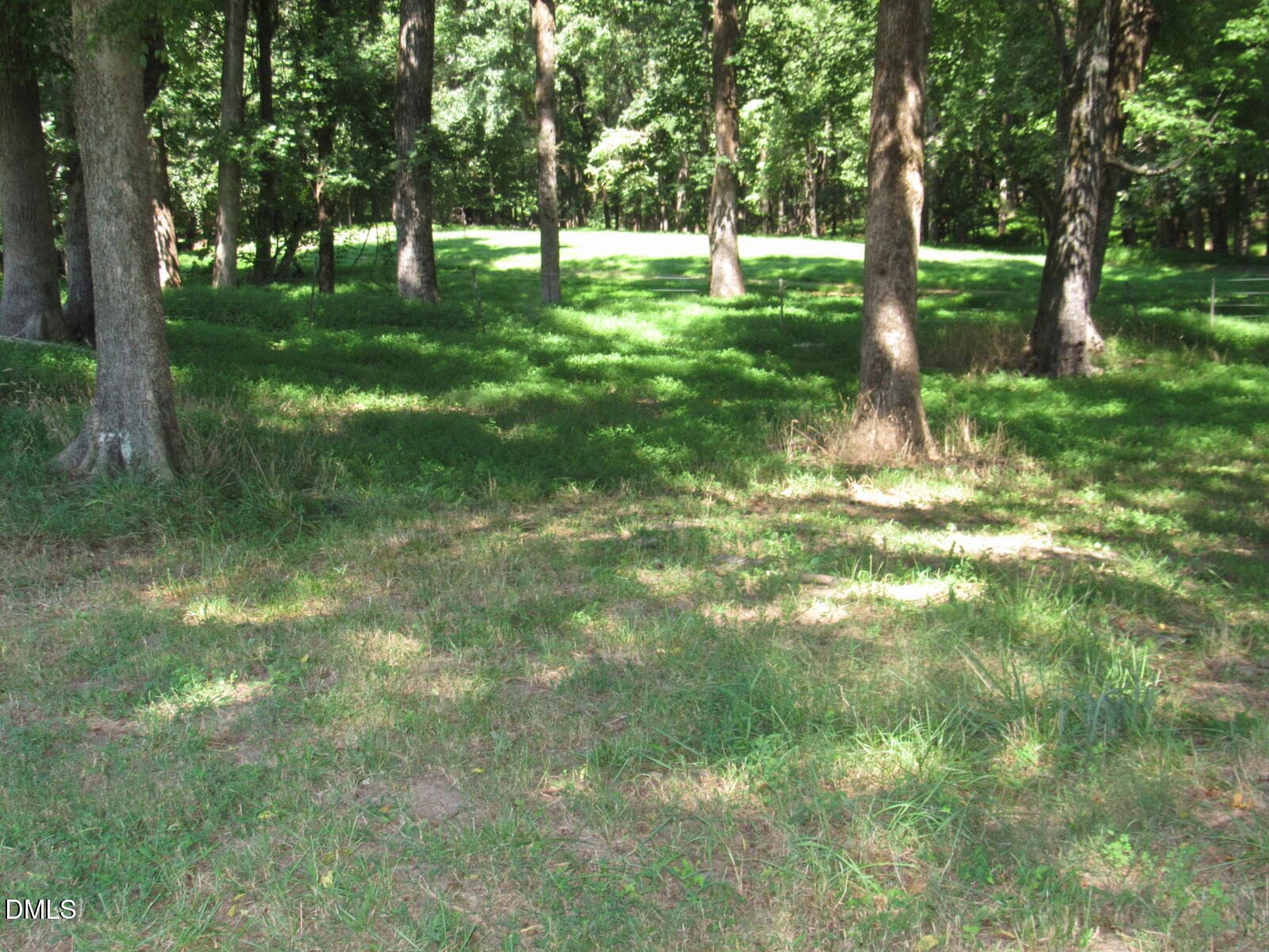 Rear field - 1290 Spring Valley Road, Henderson, NC 27537, Henderson