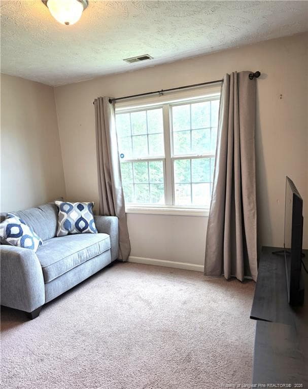 Photo 17 - 1232 Jereens Creek Road, Fayetteville, NC 28312, Fayetteville
