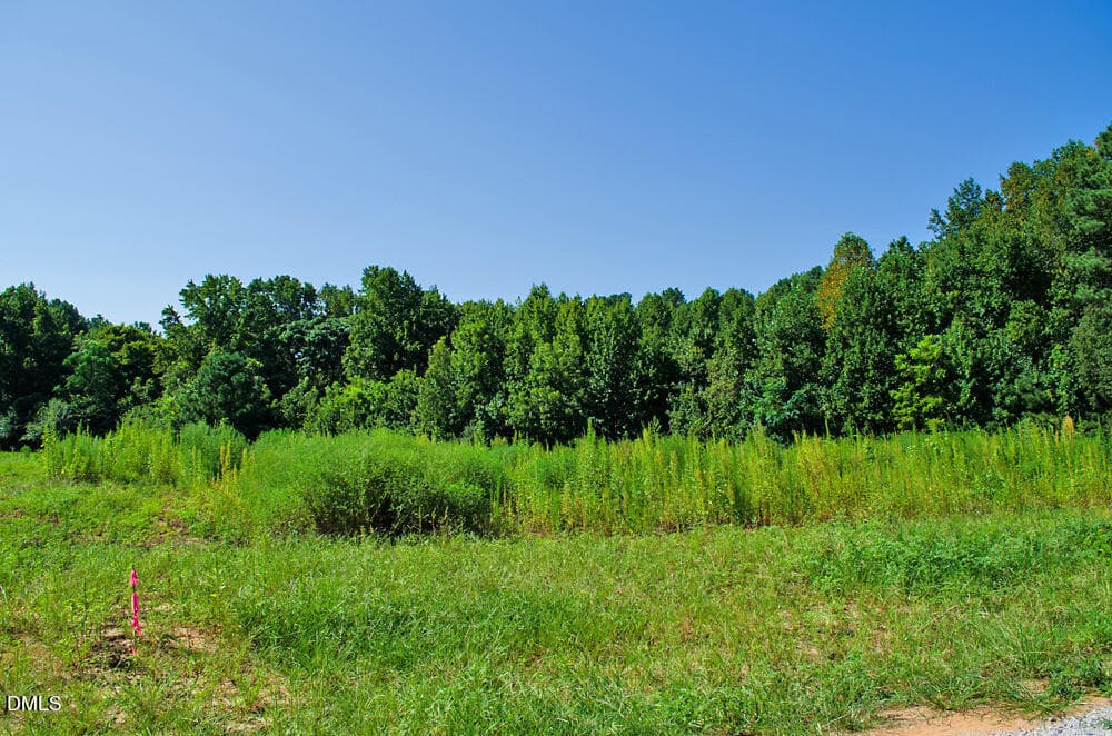 DSC_0002 - 12 Rock Mill Road, Henderson, NC 27537, Henderson