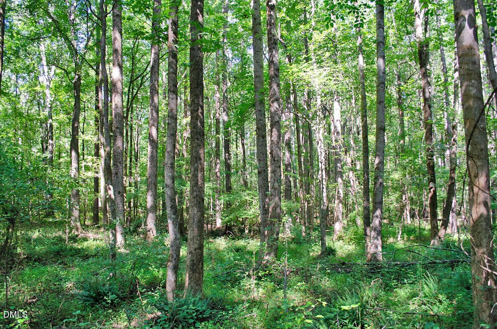 DSC_0005 - 12 Rock Mill Road, Henderson, NC 27537, Henderson
