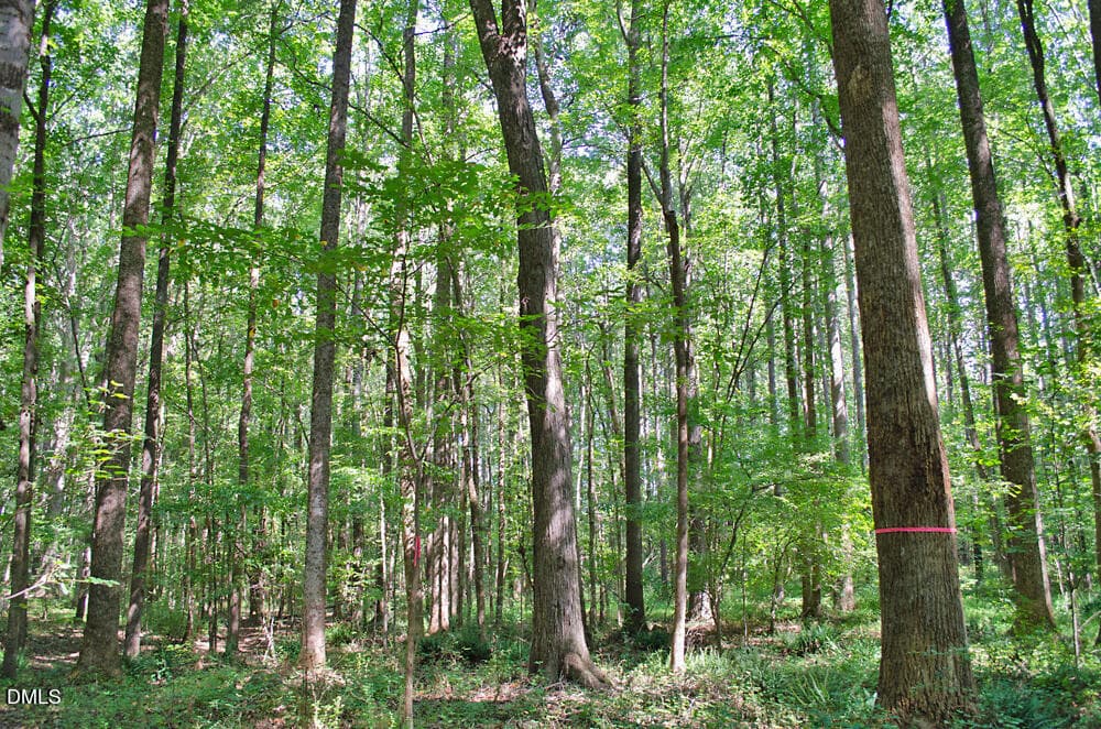 DSC_0006 - 12 Rock Mill Road, Henderson, NC 27537, Henderson