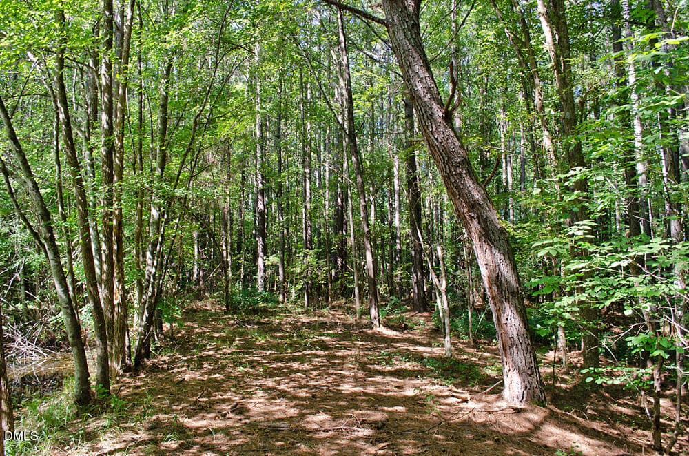 DSC_0010 - 12 Rock Mill Road, Henderson, NC 27537