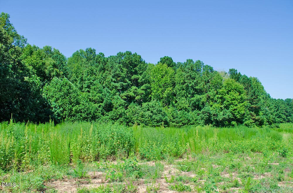 DSC_0011 - 12 Rock Mill Road, Henderson, NC 27537, Henderson