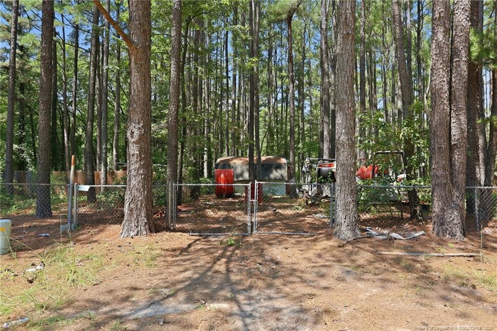 Photo 29 - 22 W Governor Brandon Street, Spring Lake, NC 28390
