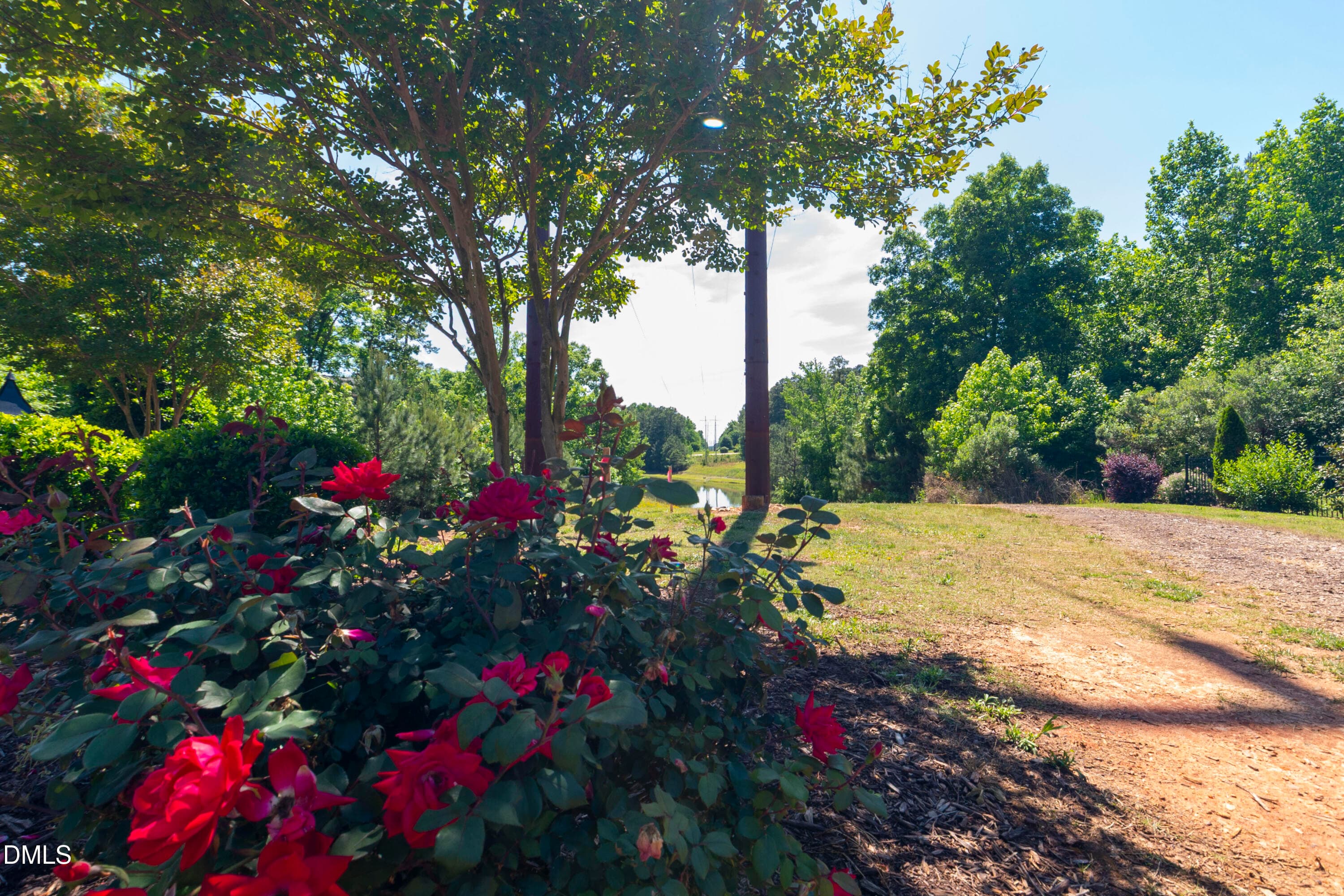 DSC_6140 - 6949 Rex Road, Holly Springs, NC 27540, Holly Springs
