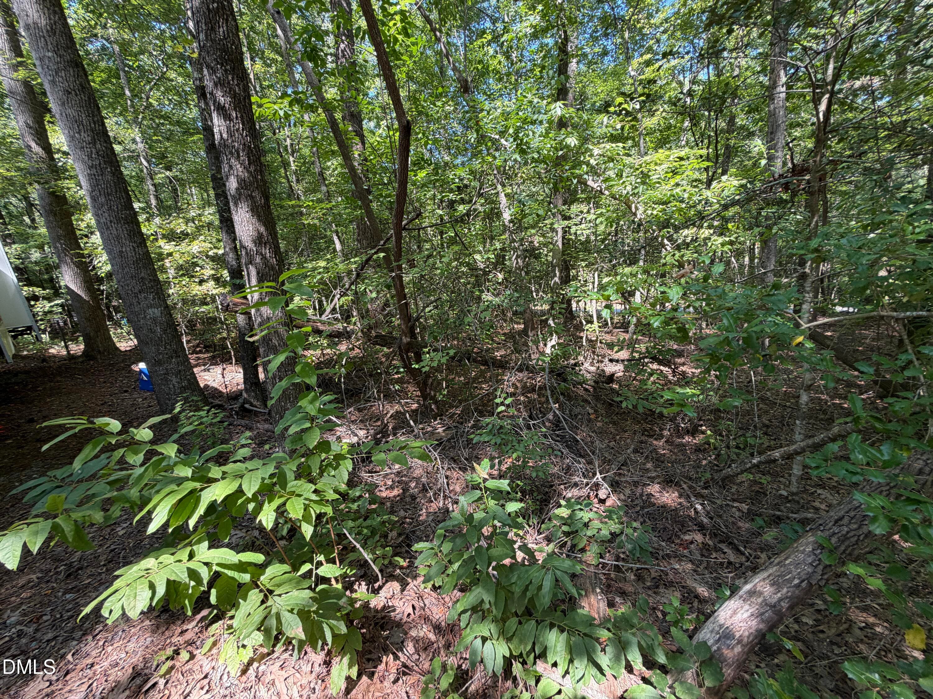 IMG_0591 - 126 Poma Drive, Spring Hope, NC 27882