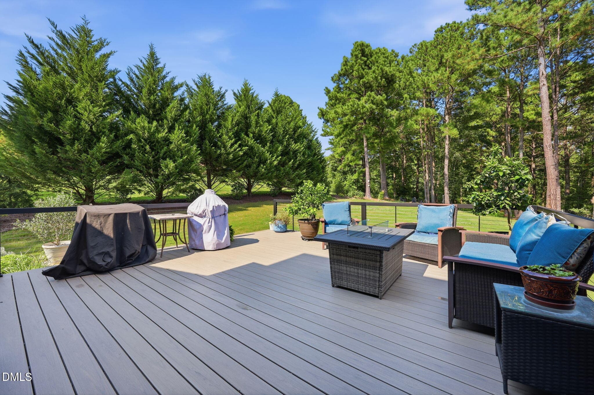 74-web-or-mls-IMG_4918 - 45 Costa Court, Clayton, NC 27527, Clayton