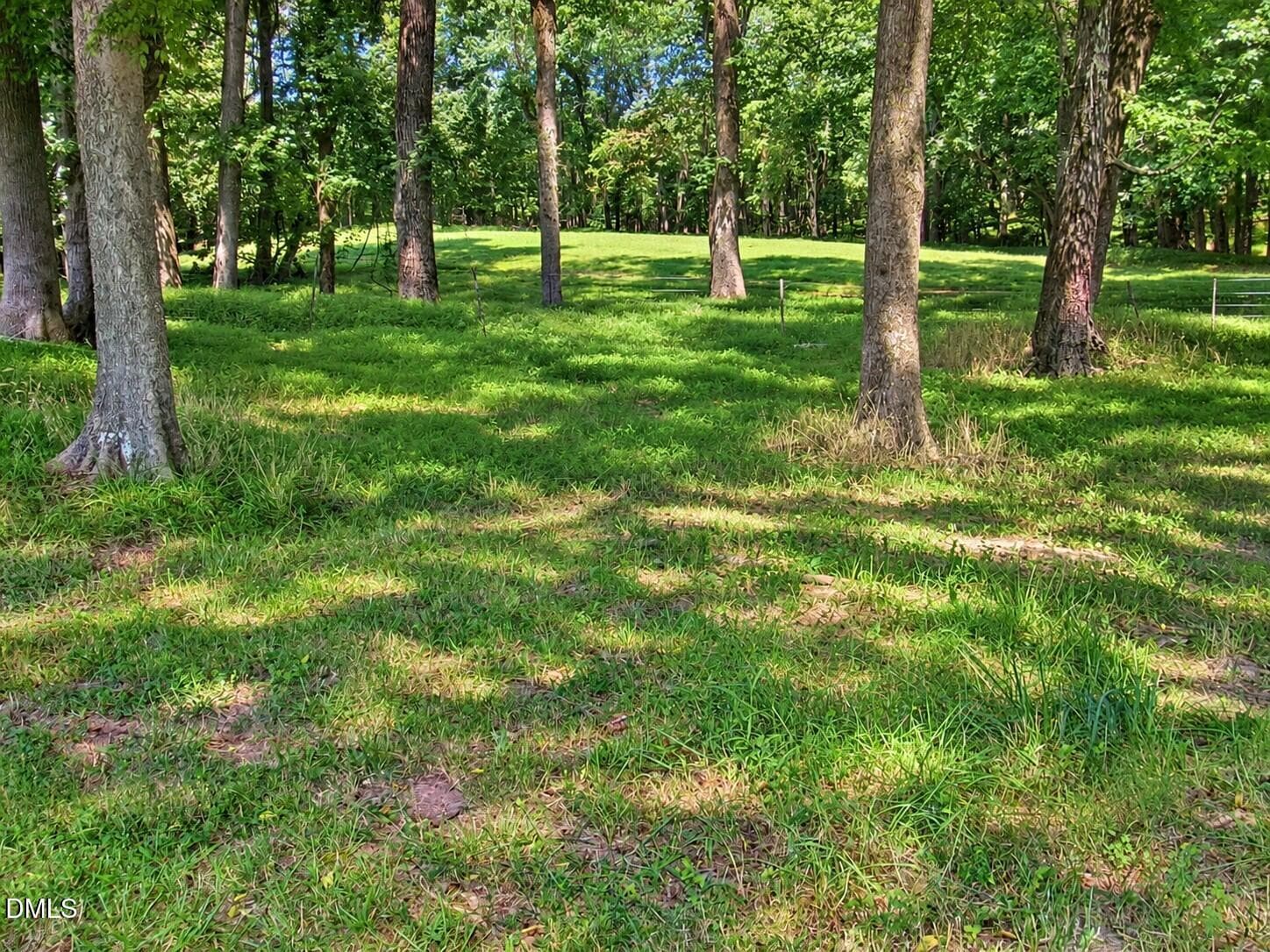 Wooded areas - 1290 Spring Valley Road, Henderson, NC 27537, Henderson