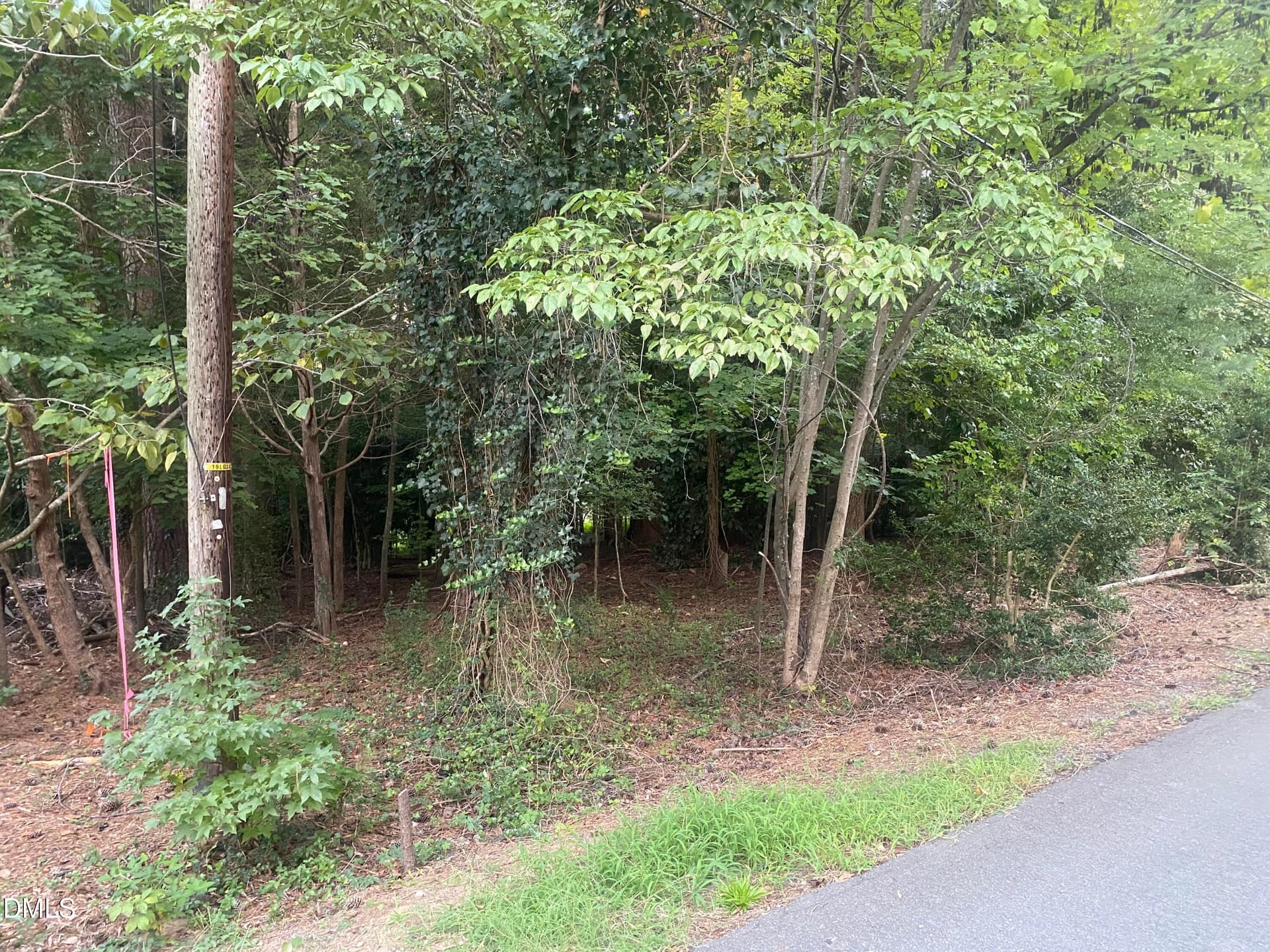 IMG_3884 - 5026 Green Oak Drive, Durham, NC 27712