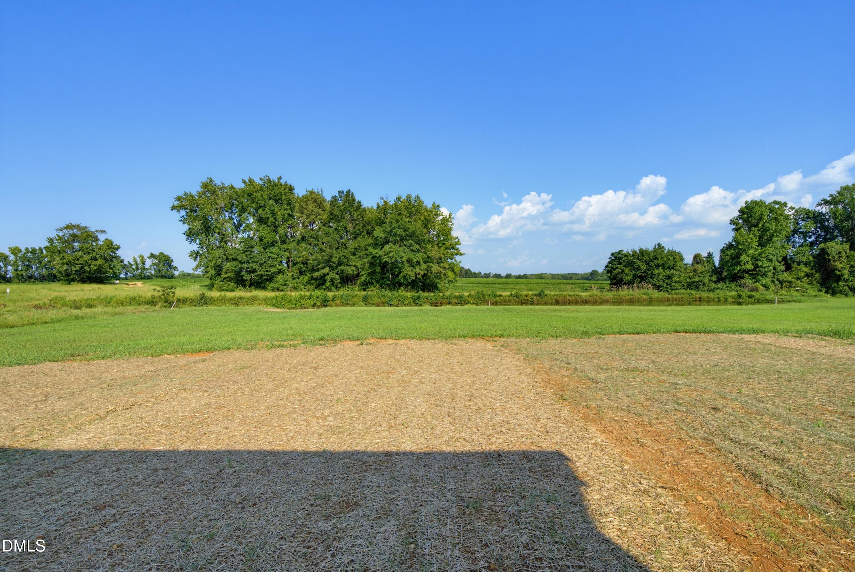 DSC02296 - 5515 River Buck Road, Spring Hope, NC 27882