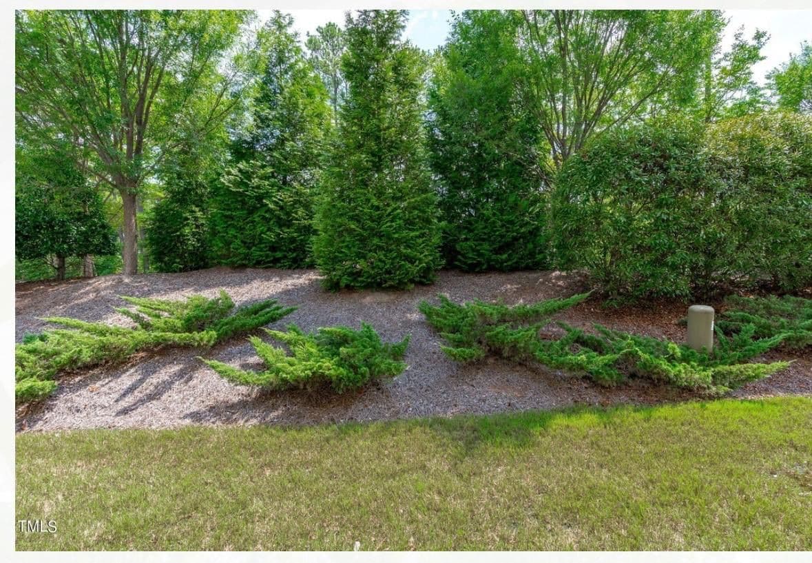 14bf2608-2767-48bf-b183-d5e86bcd4980.JPG - 165 Durants Neck Lane, Morrisville, NC 27560, Morrisville