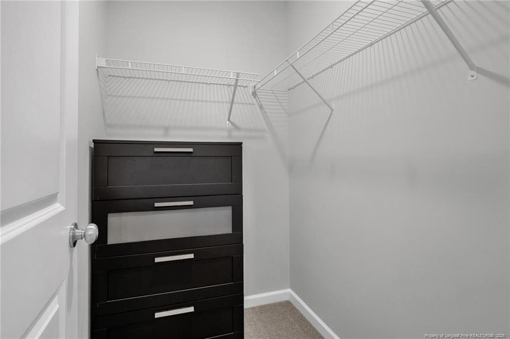 GUEST BEDROOM CLOSET - 105 Nectar Lane, Bunnlevel, NC 28323