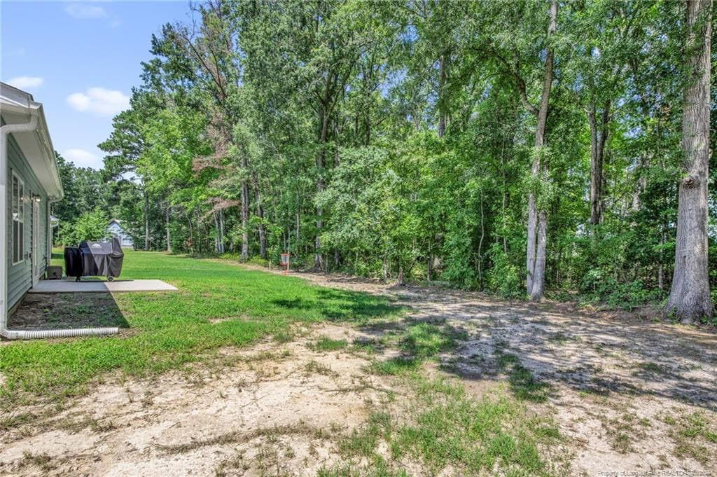 SIDE VIEW OF YARD - 105 Nectar Lane, Bunnlevel, NC 28323