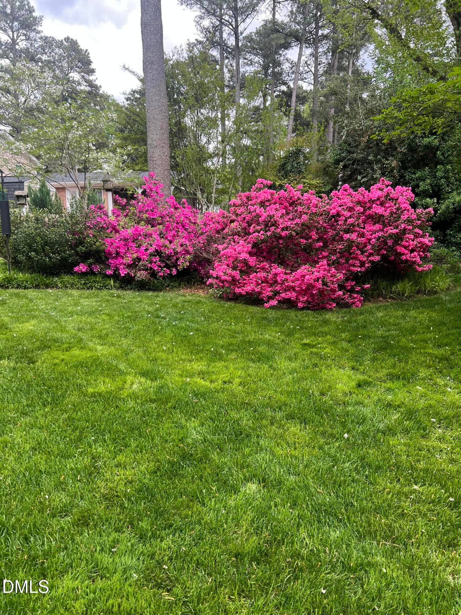 Spring Picture - 1014 Country Ridge Drive, Raleigh, NC 27609, Raleigh