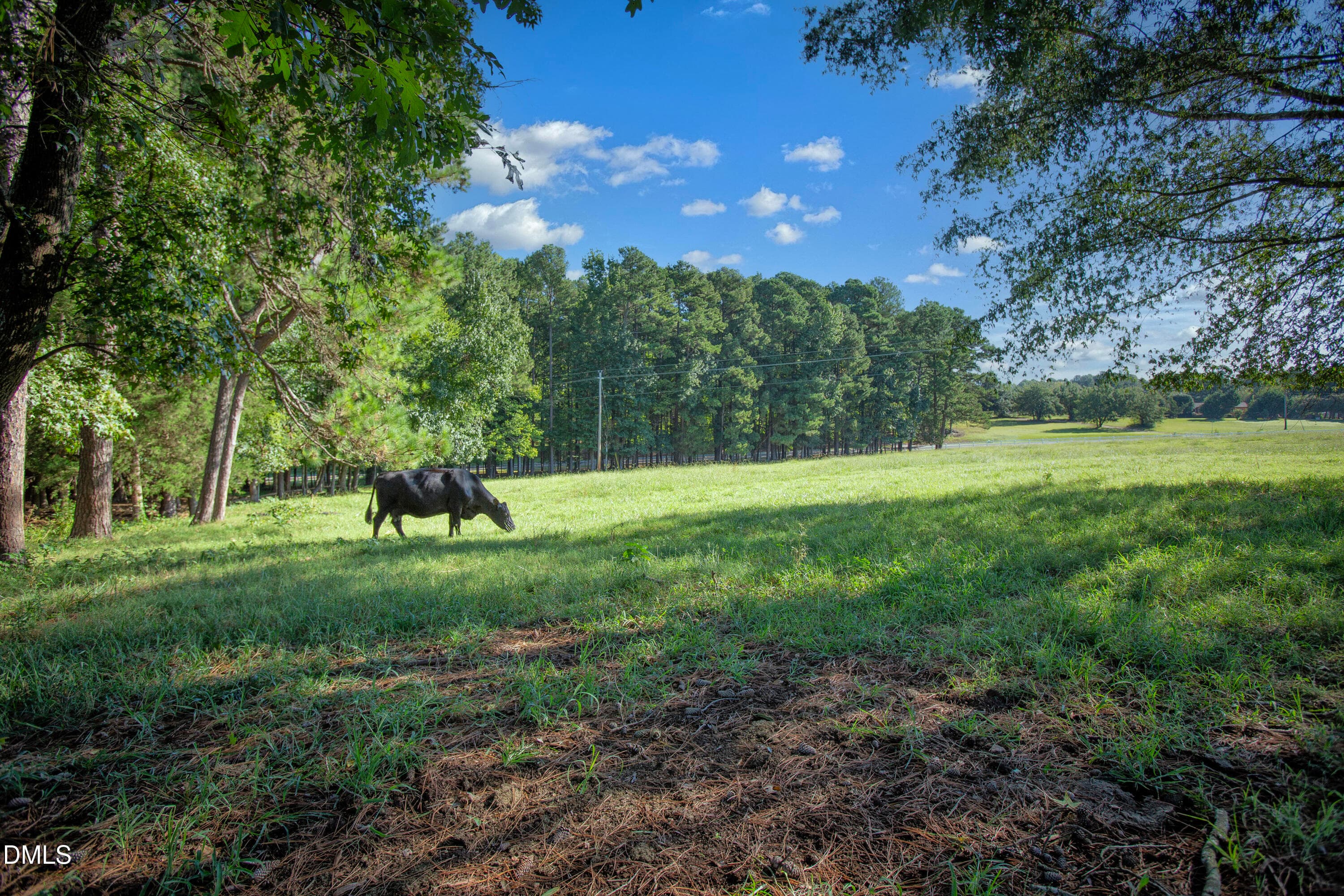 Wes Sandling 33 - 32 Wes Sandling Road, Franklinton, NC 27525, Franklinton