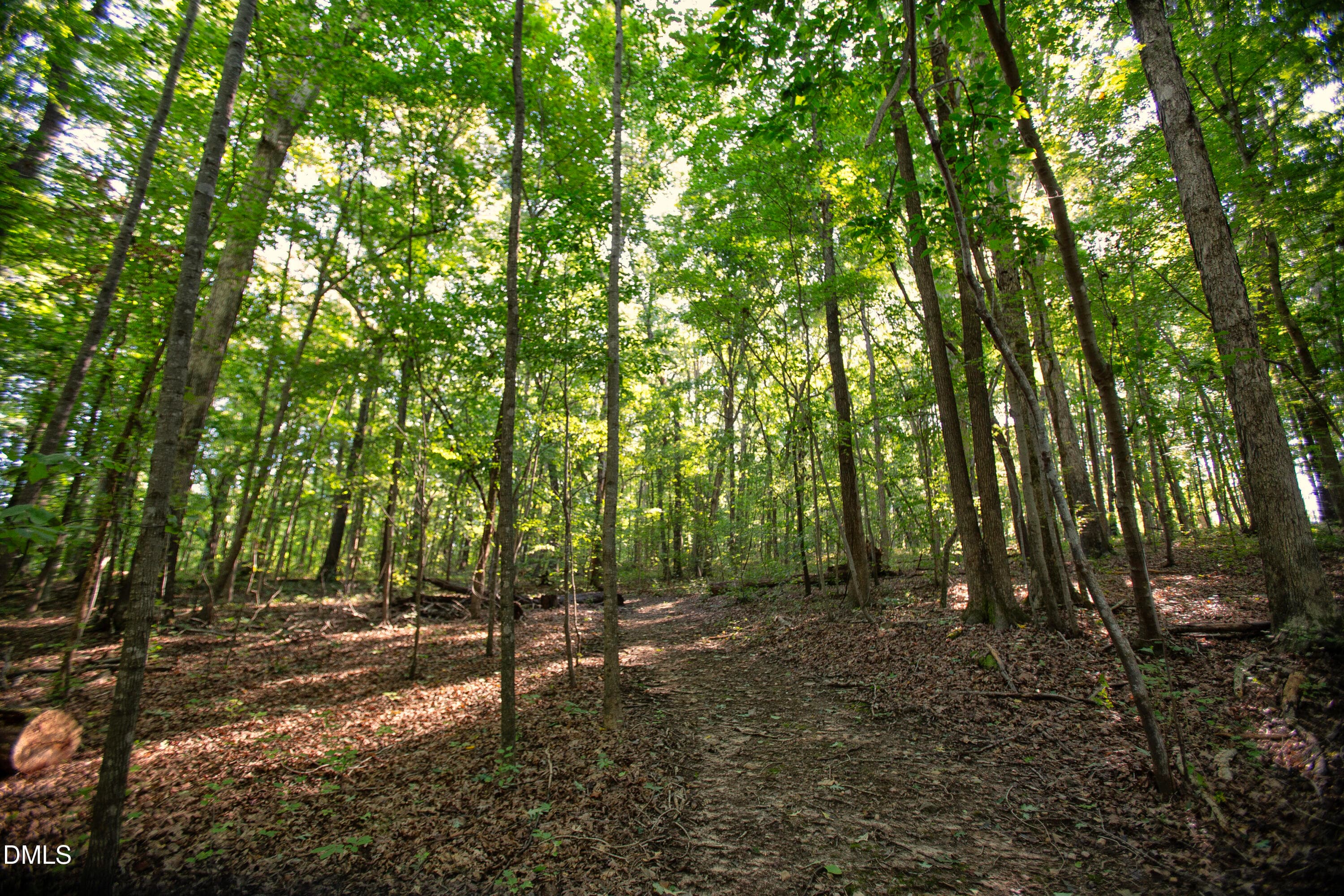 Wes Sandling 31 - 32 Wes Sandling Road, Franklinton, NC 27525, Franklinton