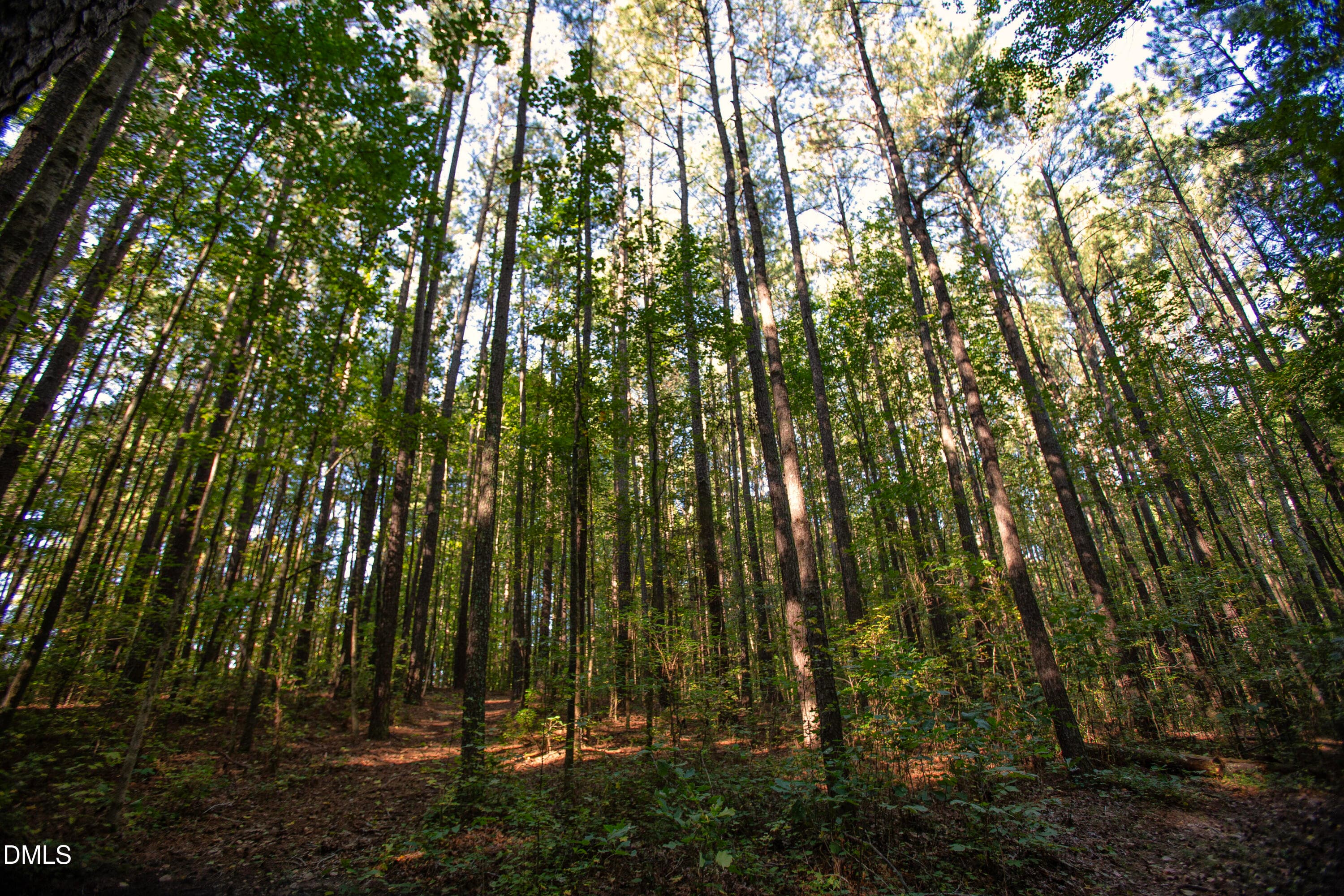 Wes Sandling 30 - 32 Wes Sandling Road, Franklinton, NC 27525, Franklinton