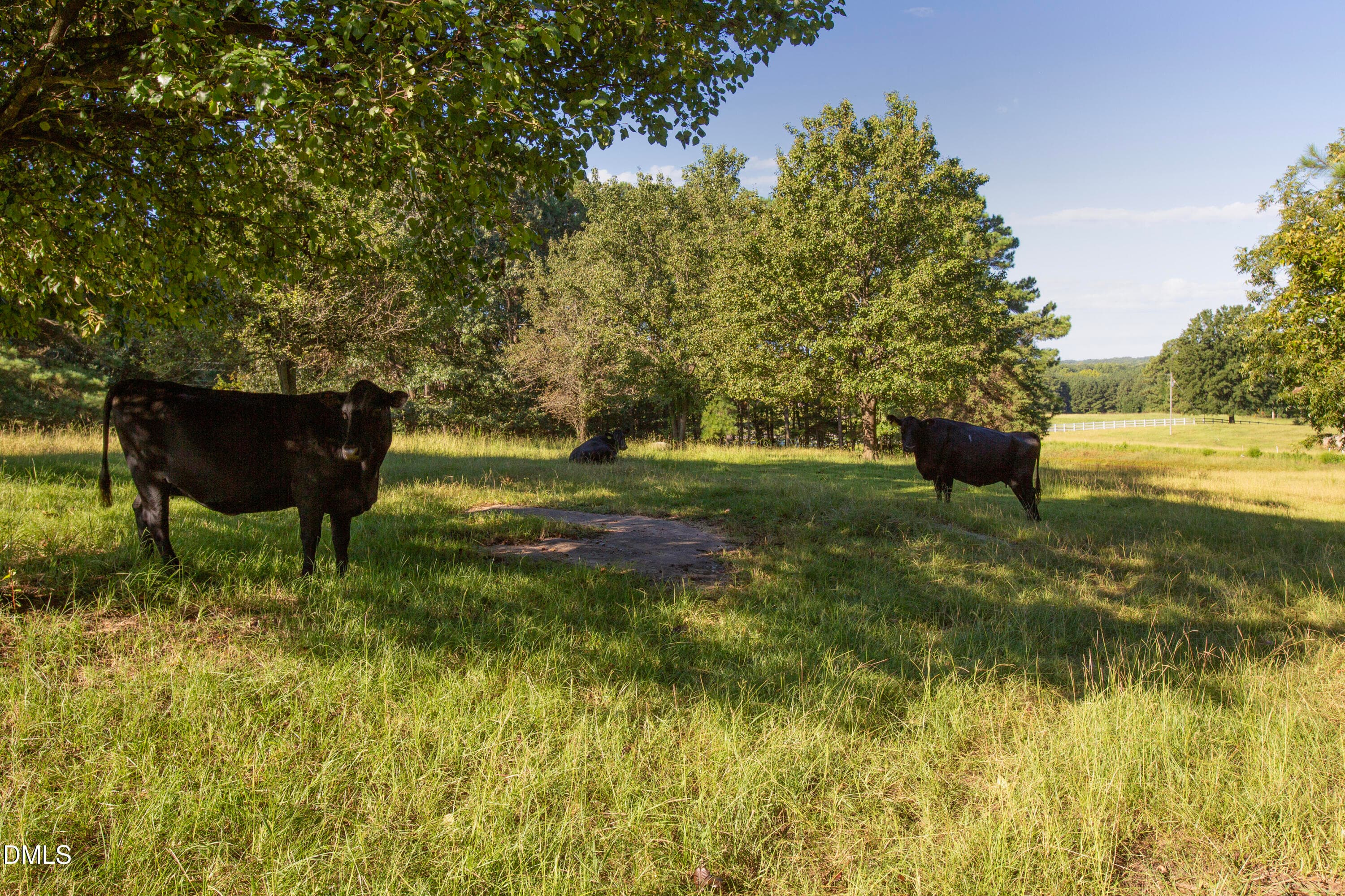 Wes Sandling 26 - 32 Wes Sandling Road, Franklinton, NC 27525, Franklinton