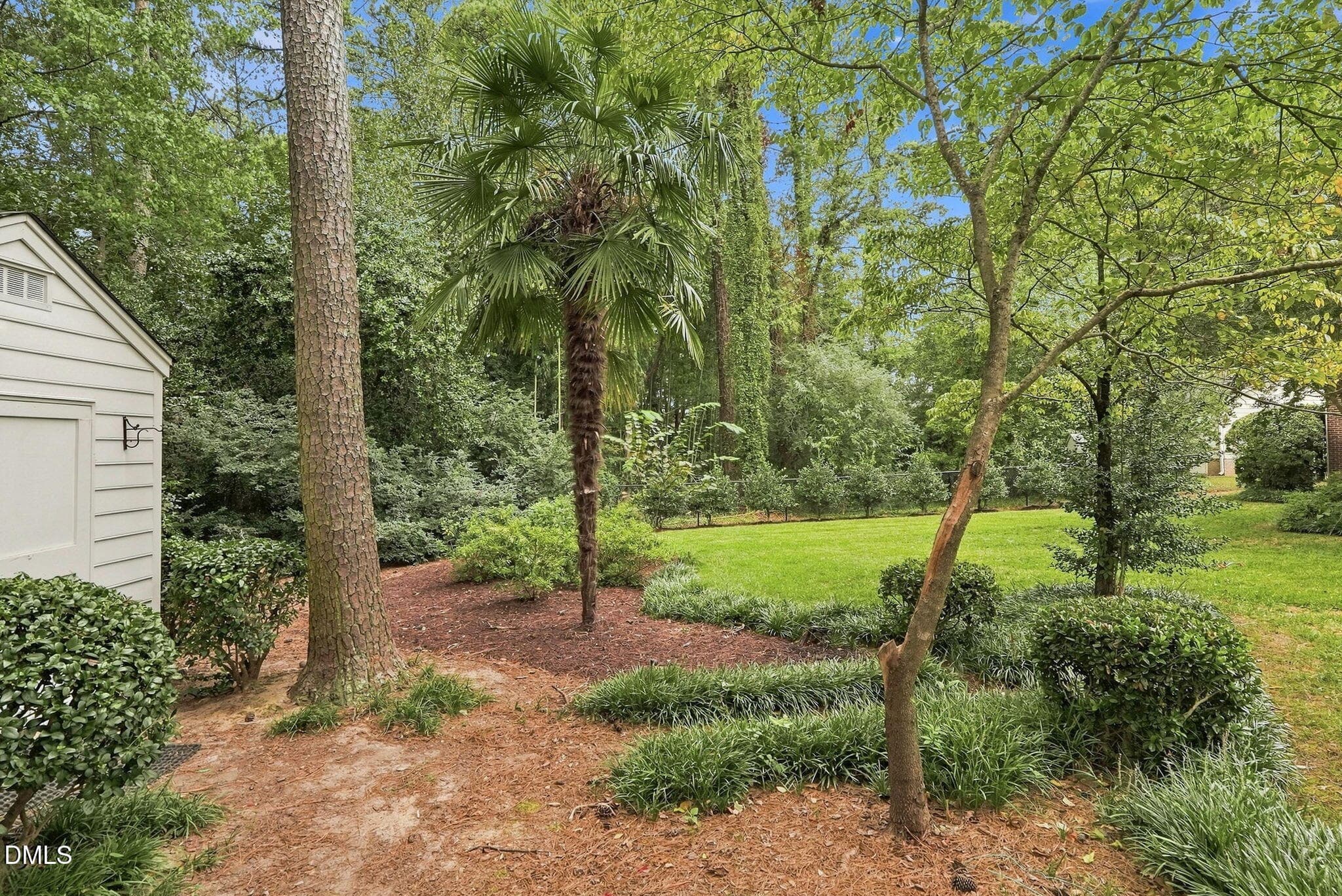 Shed and Back Yard - 1014 Country Ridge Drive, Raleigh, NC 27609, Raleigh