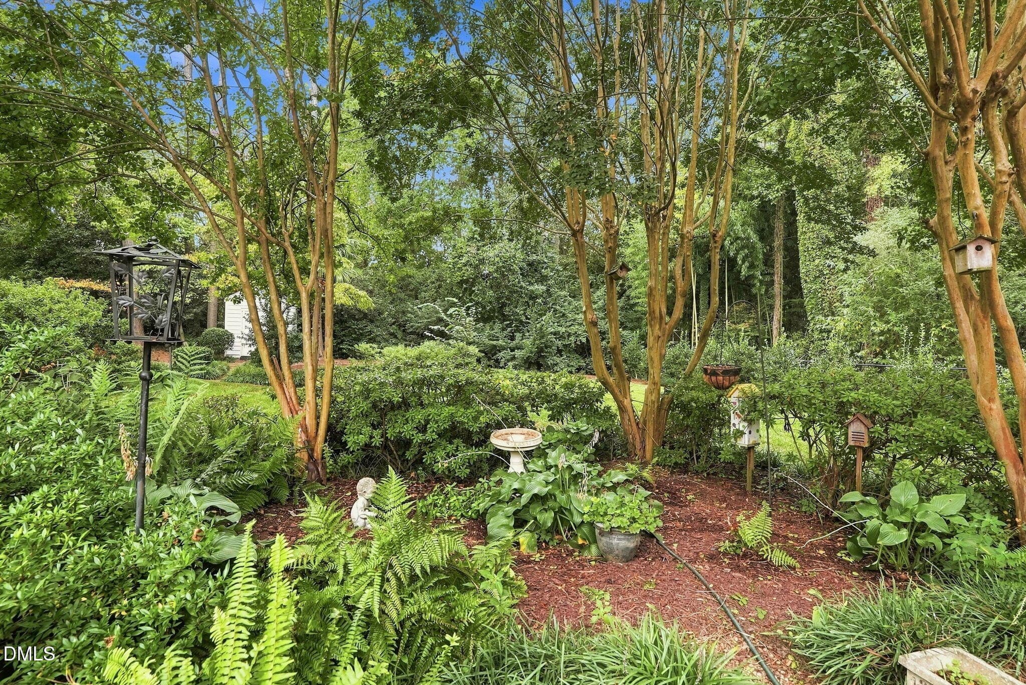 Fern Garden Area - 1014 Country Ridge Drive, Raleigh, NC 27609, Raleigh