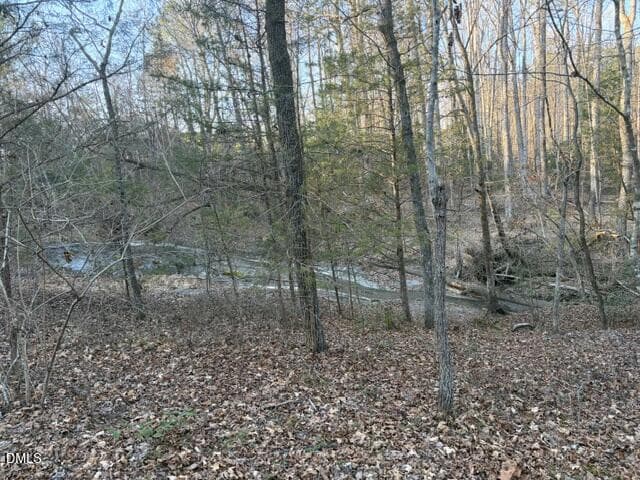 Conservation easement - 3829 Standing Pine Lane, Zebulon, NC 27597
