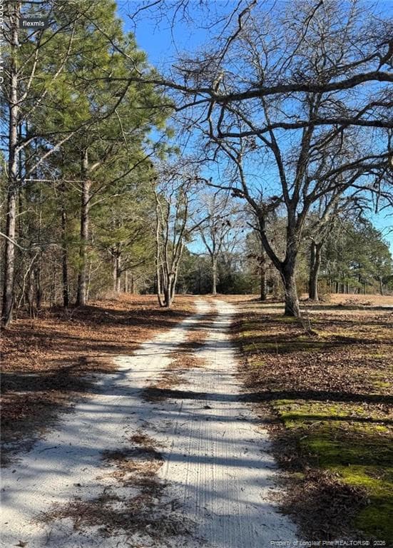 Photo 2 - 490 Springhill Church Road, Hamlet, NC 28345, Hamlet