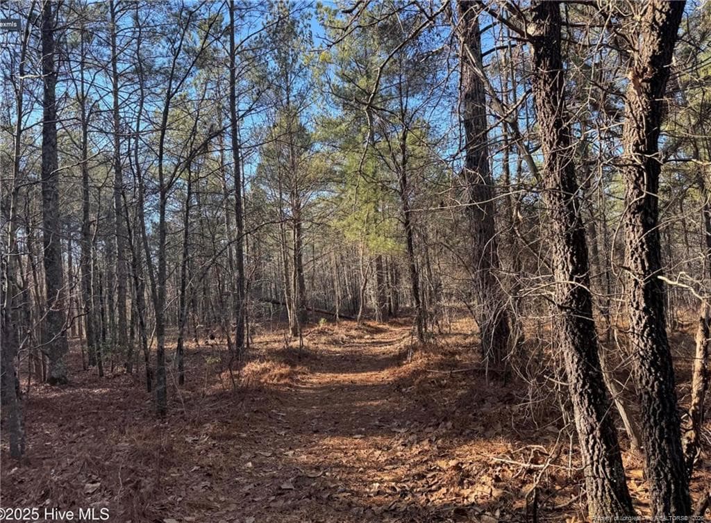 Photo 3 - 490 Springhill Church Road, Hamlet, NC 28345, Hamlet