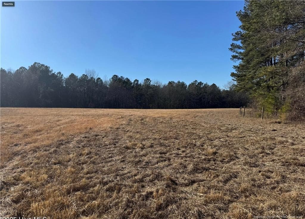 Photo 4 - 490 Springhill Church Road, Hamlet, NC 28345, Hamlet