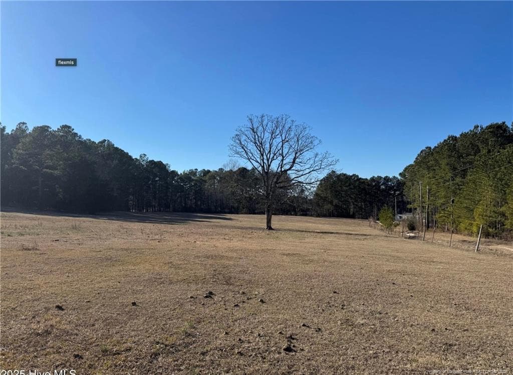 Photo 5 - 490 Springhill Church Road, Hamlet, NC 28345, Hamlet