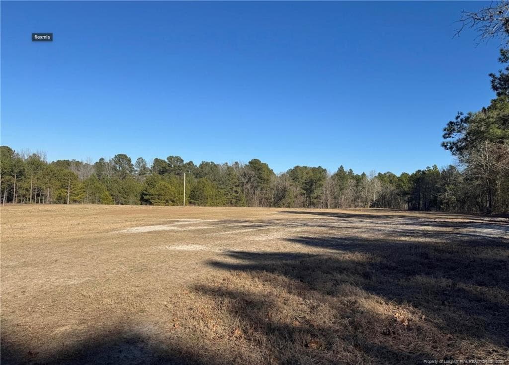Photo 6 - 490 Springhill Church Road, Hamlet, NC 28345, Hamlet
