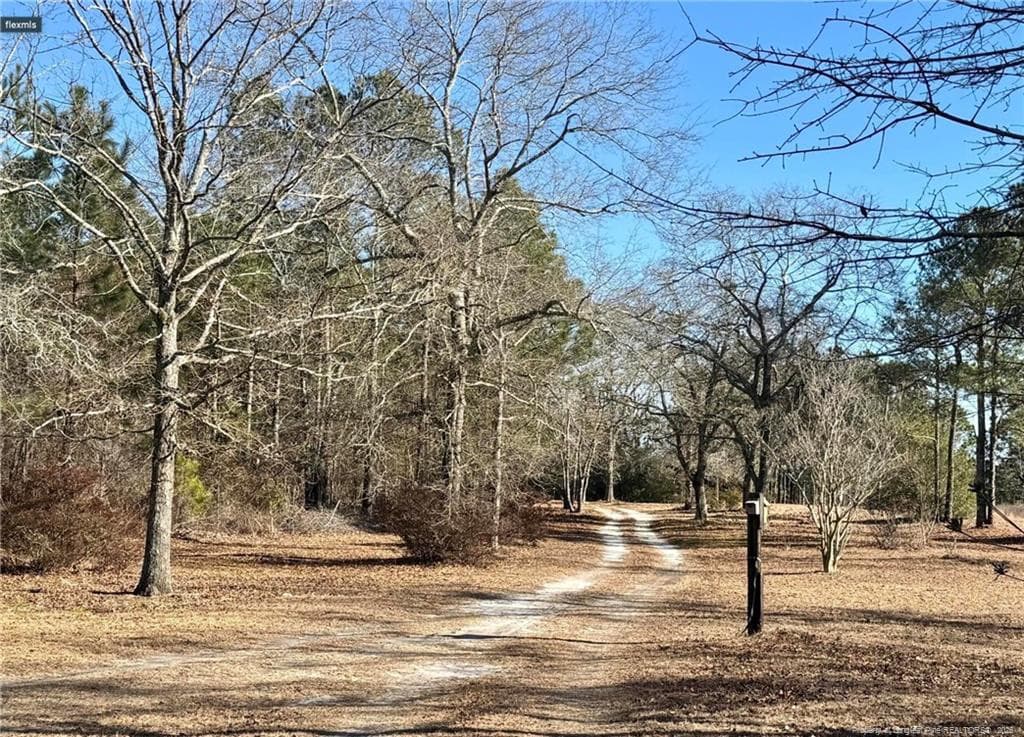 Photo 7 - 490 Springhill Church Road, Hamlet, NC 28345, Hamlet
