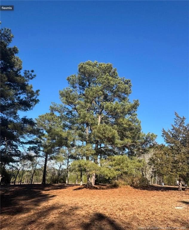 Photo 11 - 490 Springhill Church Road, Hamlet, NC 28345, Hamlet