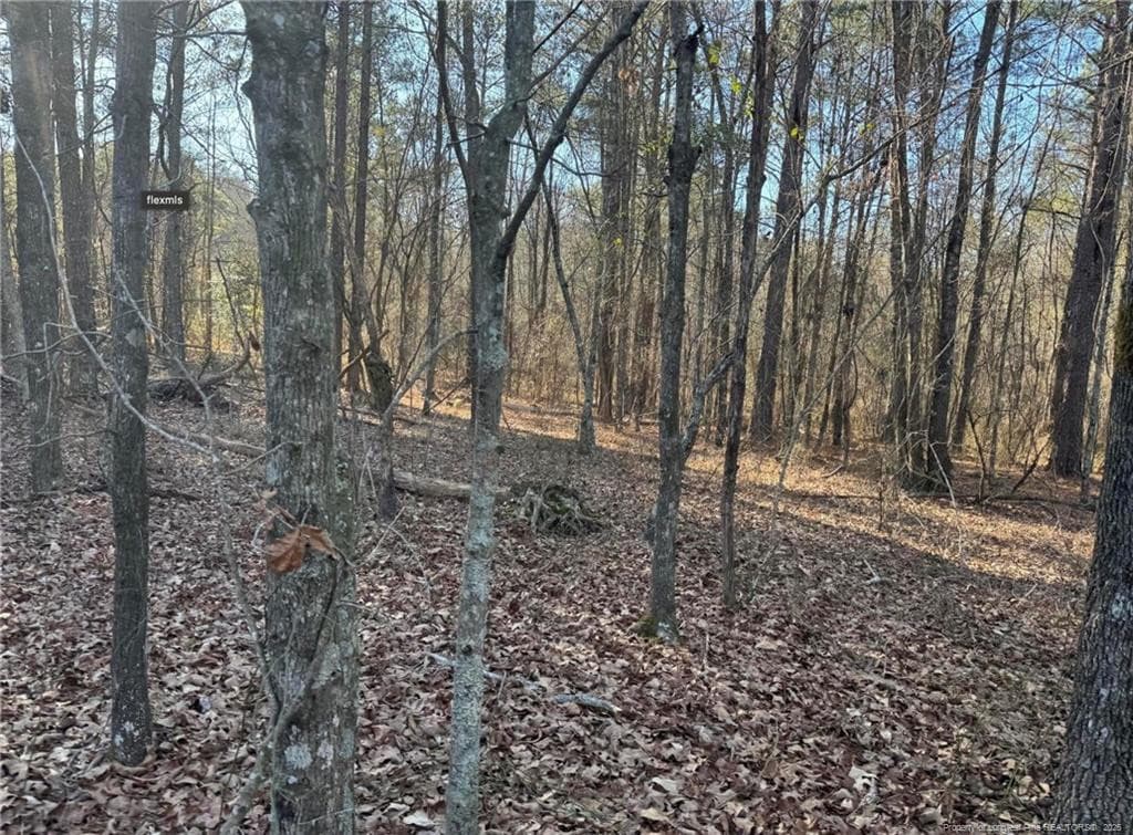 Photo 12 - 490 Springhill Church Road, Hamlet, NC 28345, Hamlet