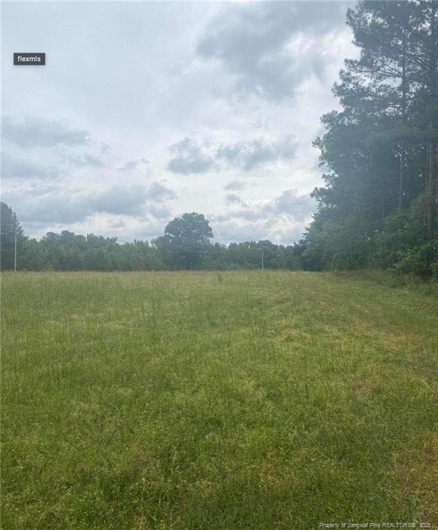 Photo 14 - 490 Springhill Church Road, Hamlet, NC 28345, Hamlet