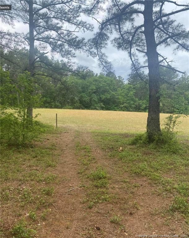 Photo 15 - 490 Springhill Church Road, Hamlet, NC 28345, Hamlet