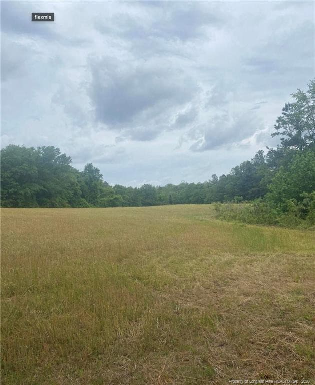 Photo 16 - 490 Springhill Church Road, Hamlet, NC 28345, Hamlet