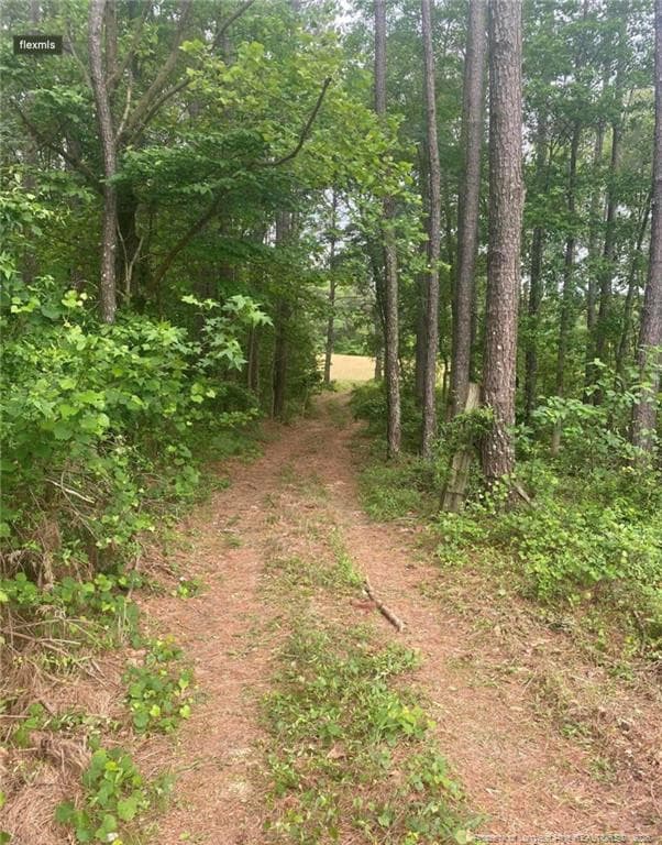 Photo 17 - 490 Springhill Church Road, Hamlet, NC 28345, Hamlet