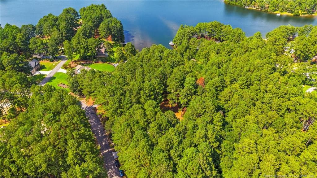 Photo 6 - 16401 Lakeshore Drive, Wagram, NC 28396